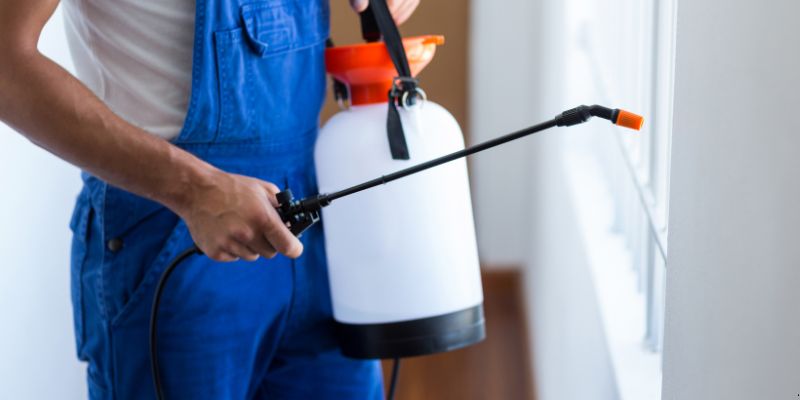 Como Fazer Dedetização em Casa em Feira de Santana: 4 Dicas Simples Como fazer dedetização em casa em Feira de Santana