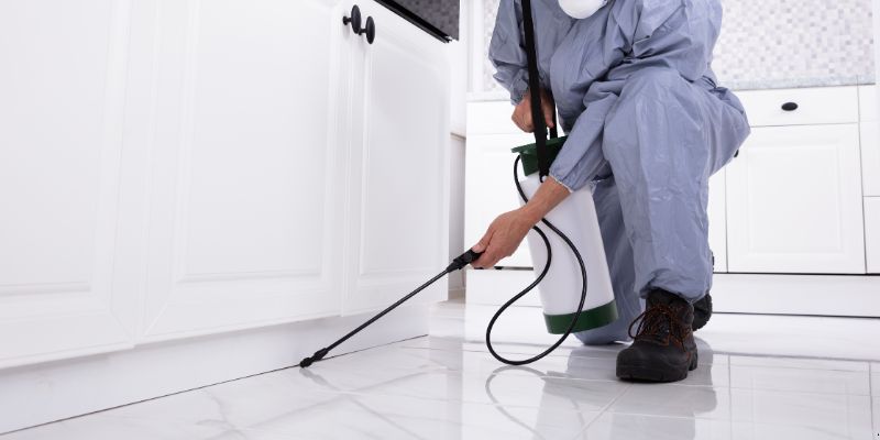 Como Preparar a Casa para Dedetização em Feira de Santana: 5 Passos Como preparar a casa para dedetização em Feira de Santana